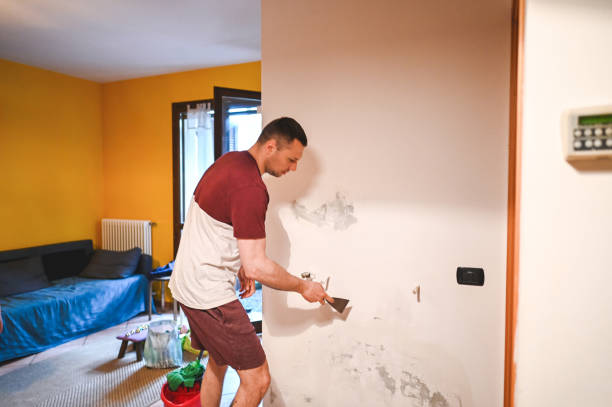 Best Office Mold Removal Services  in Hialeah Gardens, FL